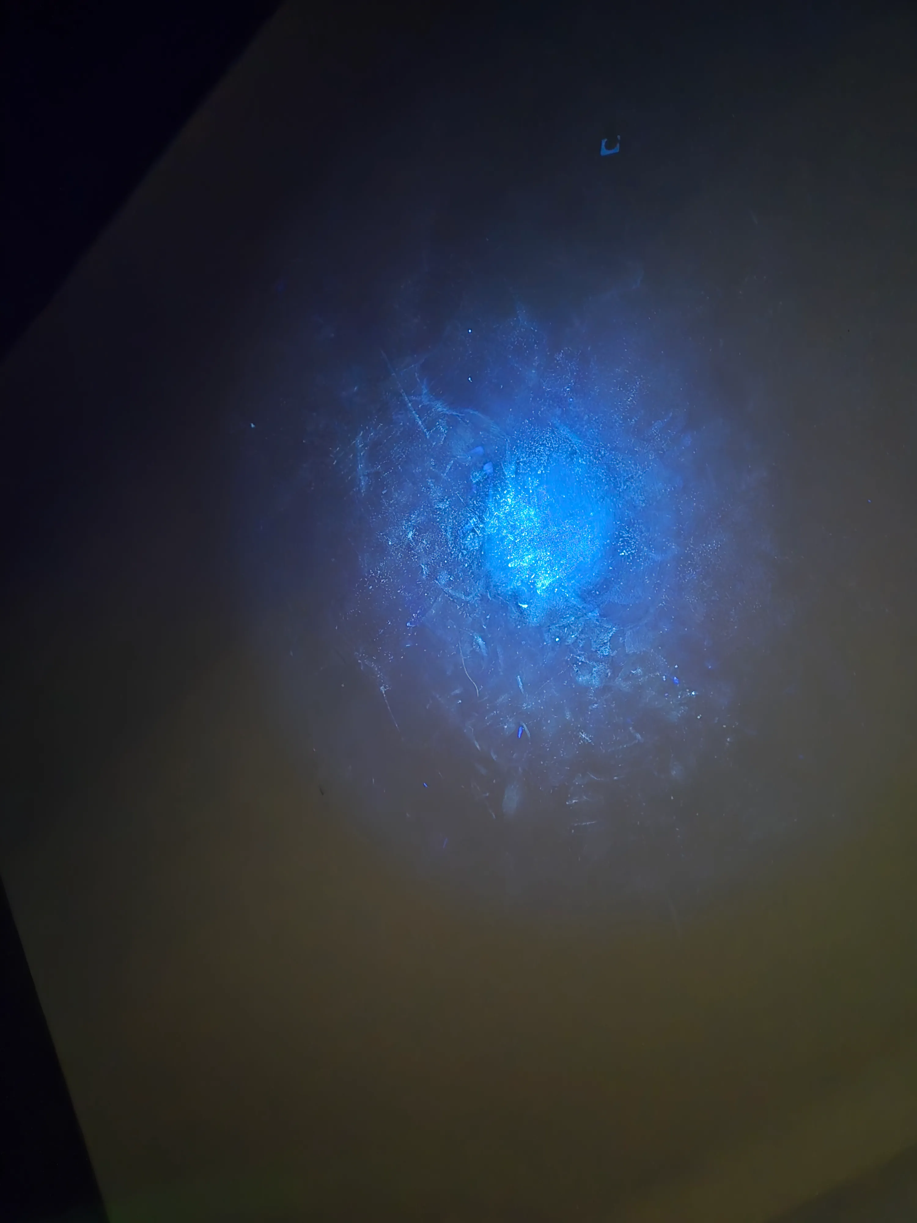 Humidité cachée révélée à la lampe UV, relevé instrumenté